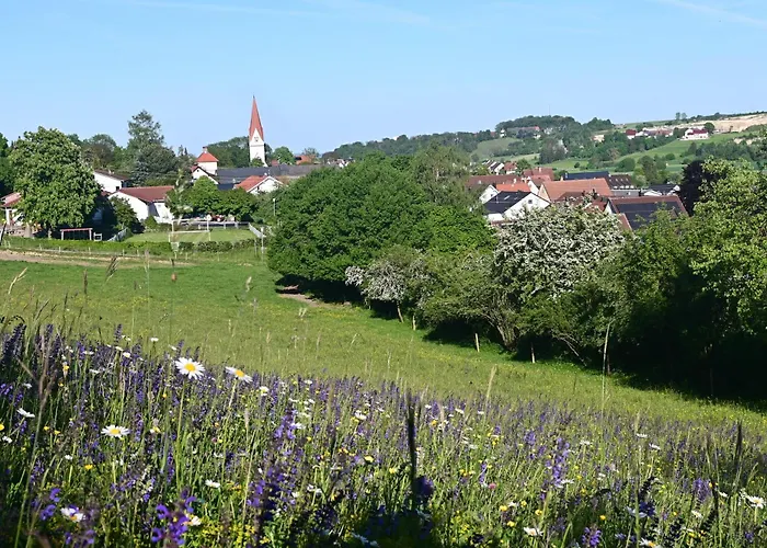 Wacholderheide Langenau